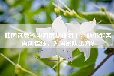 韩国选秀挑中河南女排将士，他们能否再创佳绩，为国家队出力？