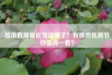 都市直播最近变冷清了？有哪些优质节目值得一看？