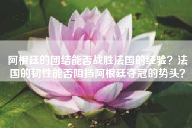 阿根廷的团结能否战胜法国的经验？法国的韧性能否阻挡阿根廷夺冠的势头？