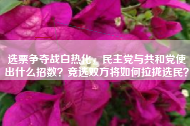 选票争夺战白热化，民主党与共和党使出什么招数？竞选双方将如何拉拢选民？