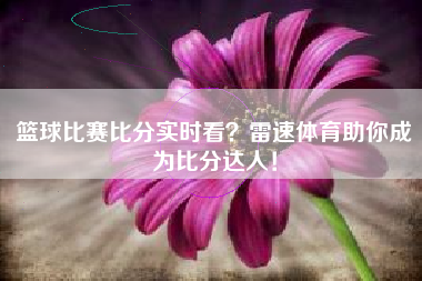篮球比赛比分实时看？雷速体育助你成为比分达人！