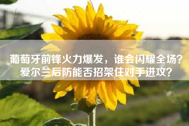 葡萄牙前锋火力爆发，谁会闪耀全场？爱尔兰后防能否招架住对手进攻？