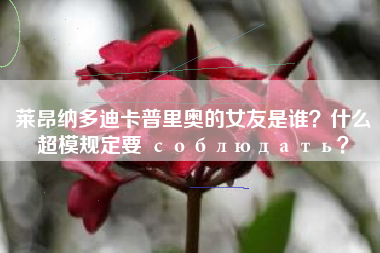 莱昂纳多迪卡普里奥的女友是谁？什么超模规定要 соблюдать？