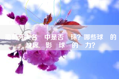葡萄牙大名單中是否遺珠？哪些球員的缺席會影響球隊的實力？