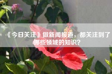 《今日关注》做新闻报道，都关注到了哪些领域的知识？