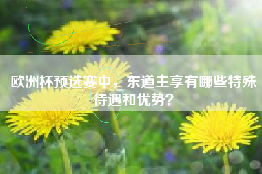 欧洲杯预选赛中，东道主享有哪些特殊待遇和优势？
