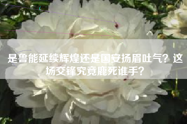 是鲁能延续辉煌还是国安扬眉吐气？这场交锋究竟鹿死谁手？