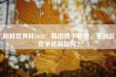 朝鲜世界杯2010：韩国携手晋级，亚洲区竞争格局如何？