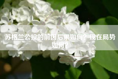 苏格兰公投的前因后果如何？现在局势如何？