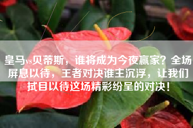 皇马vs贝蒂斯，谁将成为今夜赢家？全场屏息以待，王者对决谁主沉浮，让我们拭目以待这场精彩纷呈的对决！