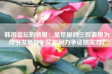 韩国篮坛的骄傲：吴世根的三双表现为何引发质疑？又如何力争证明实力？