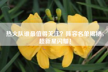 热火队谁最值得关注？阵容名单揭秘，超新星闪耀！