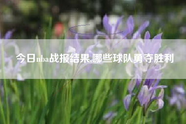 今日nba战报结果,哪些球队勇夺胜利