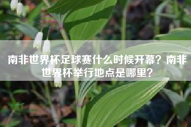 南非世界杯足球赛什么时候开幕？南非世界杯举行地点是哪里？