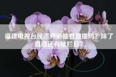 福建电视台经济频道能看直播吗？除了直播还有啥栏目？
