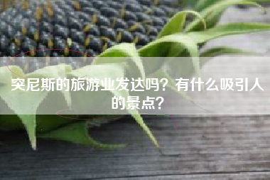 突尼斯的旅游业发达吗？有什么吸引人的景点？