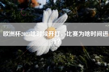 欧洲杯2023啥时候开打，比赛为啥时间进行？