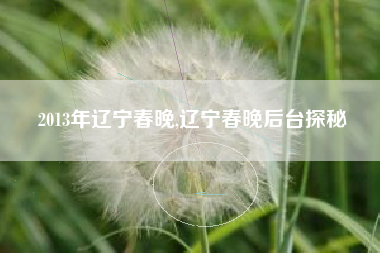 2013年辽宁春晚,辽宁春晚后台探秘