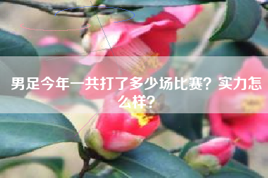 男足今年一共打了多少场比赛？实力怎么样？