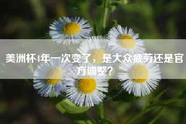 美洲杯4年一次变了，是大众疲劳还是官方调整？