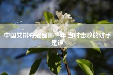 中国女排夺冠是哪一年,当时击败的对手是谁