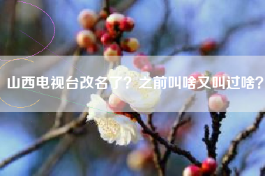 山西电视台改名了？之前叫啥又叫过啥？