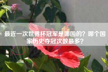 最近一次世界杯冠军是哪国的？哪个国家历史夺冠次数最多？