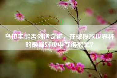 乌拉圭能否创造奇迹，在橄榄球世界杯的巅峰对决中夺得冠军？