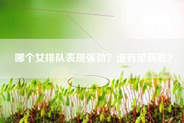 哪个女排队表现强劲？谁有望获胜？