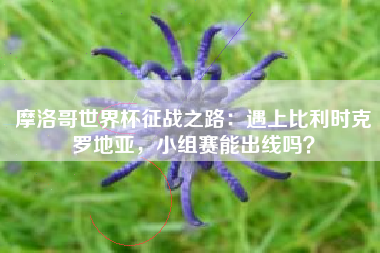 摩洛哥世界杯征战之路：遇上比利时克罗地亚，小组赛能出线吗？