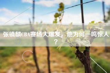 张镇麟CBA赛场大爆发，他为何一鸣惊人？
