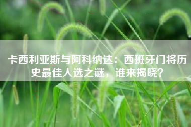 卡西利亚斯与阿科纳达：西班牙门将历史最佳人选之谜，谁来揭晓？