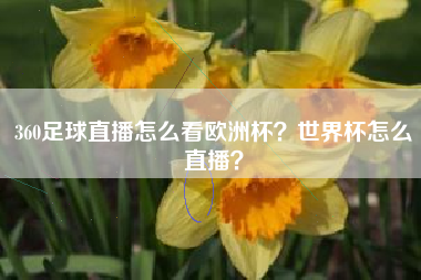 360足球直播怎么看欧洲杯？世界杯怎么直播？