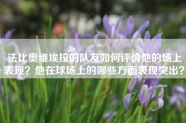 法比奥维埃拉的队友如何评价他的场上表现？他在球场上的哪些方面表现突出？