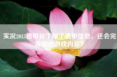 实况2013德甲补丁除了德甲信息，还会完善哪些游戏内容？