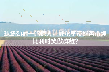 球场劲射一鸣惊人，威尔莫茨能否带领比利时笑傲群雄？