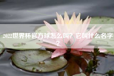 2022世界杯官方球怎么叫？它叫什么名字？