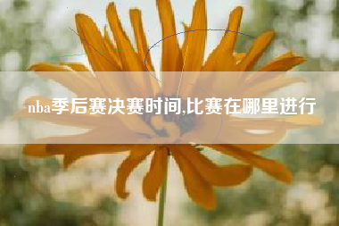 nba季后赛决赛时间,比赛在哪里进行