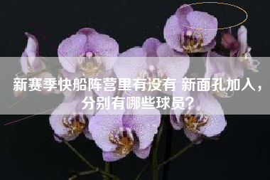 新赛季快船阵营里有没有 新面孔加入，分别有哪些球员？
