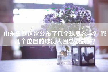 山东鲁能这次公布了几个球员名字？ 哪几个位置的球员入围总数最多？