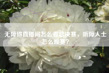 无障碍直播间怎么看总决赛，听障人士怎么观赛？