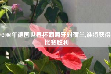 2006年德国世界杯葡萄牙对荷兰,谁将获得比赛胜利