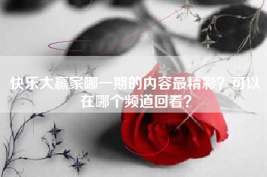 快乐大赢家哪一期的内容最精彩？可以在哪个频道回看？
