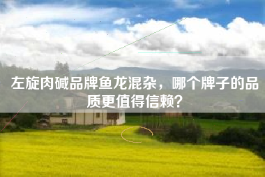 左旋肉碱品牌鱼龙混杂，哪个牌子的品质更值得信赖？