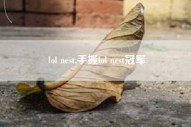 lol nest,手握lol nest冠军