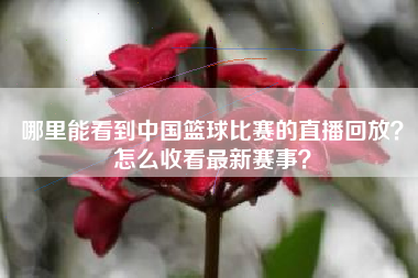 哪里能看到中国篮球比赛的直播回放？怎么收看最新赛事？
