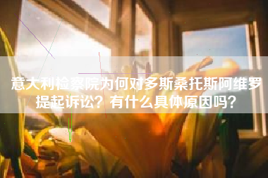 意大利检察院为何对多斯桑托斯阿维罗提起诉讼？有什么具体原因吗？