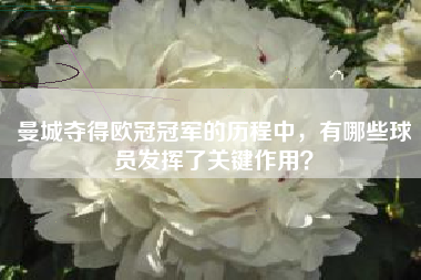 曼城夺得欧冠冠军的历程中，有哪些球员发挥了关键作用？