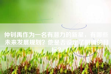 仲钊禹作为一名有潜力的新星，有哪些未来发展规划？他是否设定了明确的目标？