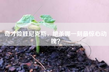 奇才险胜尼克斯，绝杀哪一刻最惊心动魄？